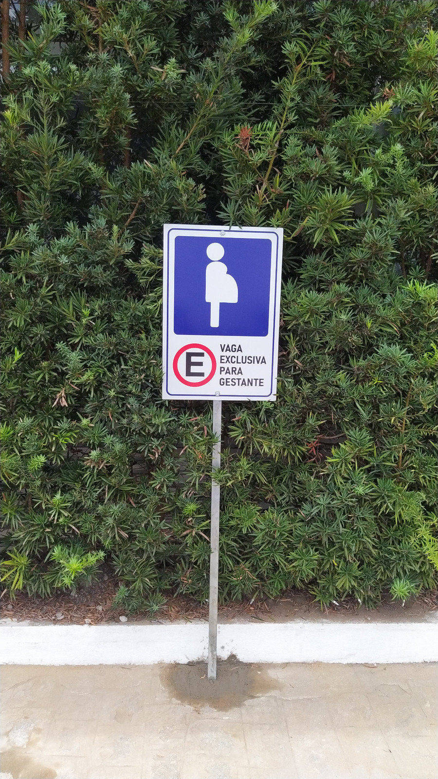 Placa de vaga de estacionamento exclusiva para gestante